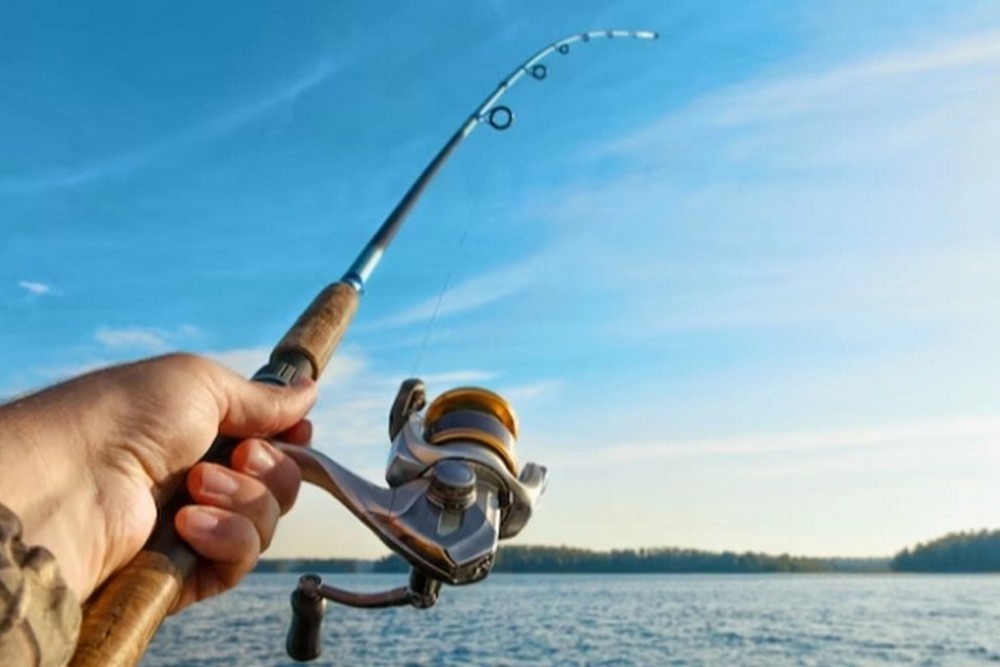 З 1 листопада на Дніпропетровщині починається заборона лову водних біоресурсів на зимувальних ямах 1 З 1 листопада на Дніпропетровщині починається заборона лову водних біоресурсів на зимувальних ямах