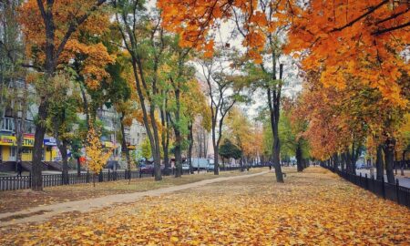 Ремонтні роботи на проспекті Трубників у Нікополі: яка мета і за чий рахунок проводяться? (відео)