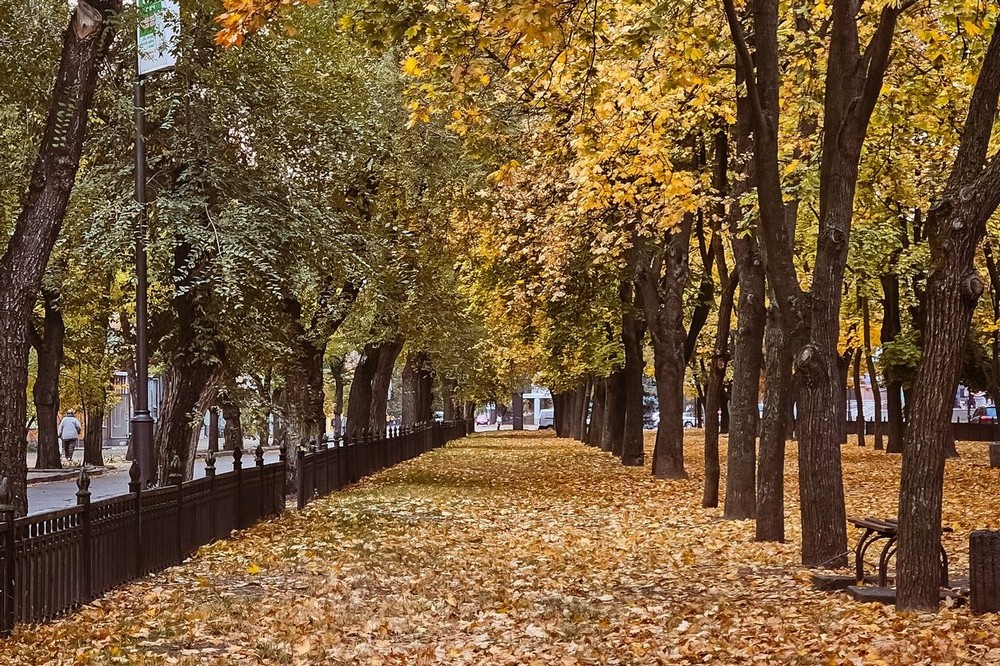Нікополя