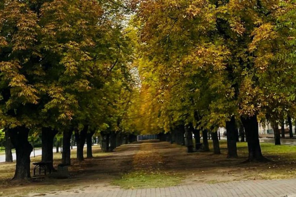 Погода у Нікополі