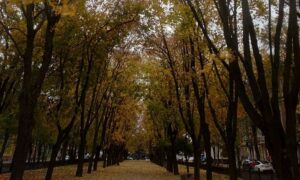 Погода у Нікополі
