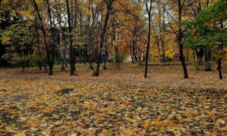 Очікується дощ: погода у Нікополі 28 жовтня 31 Погода у Нікополі