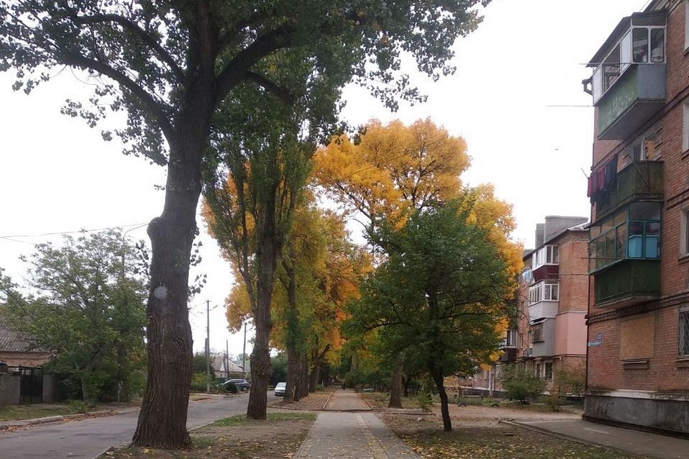 Погода у Нікополі 2