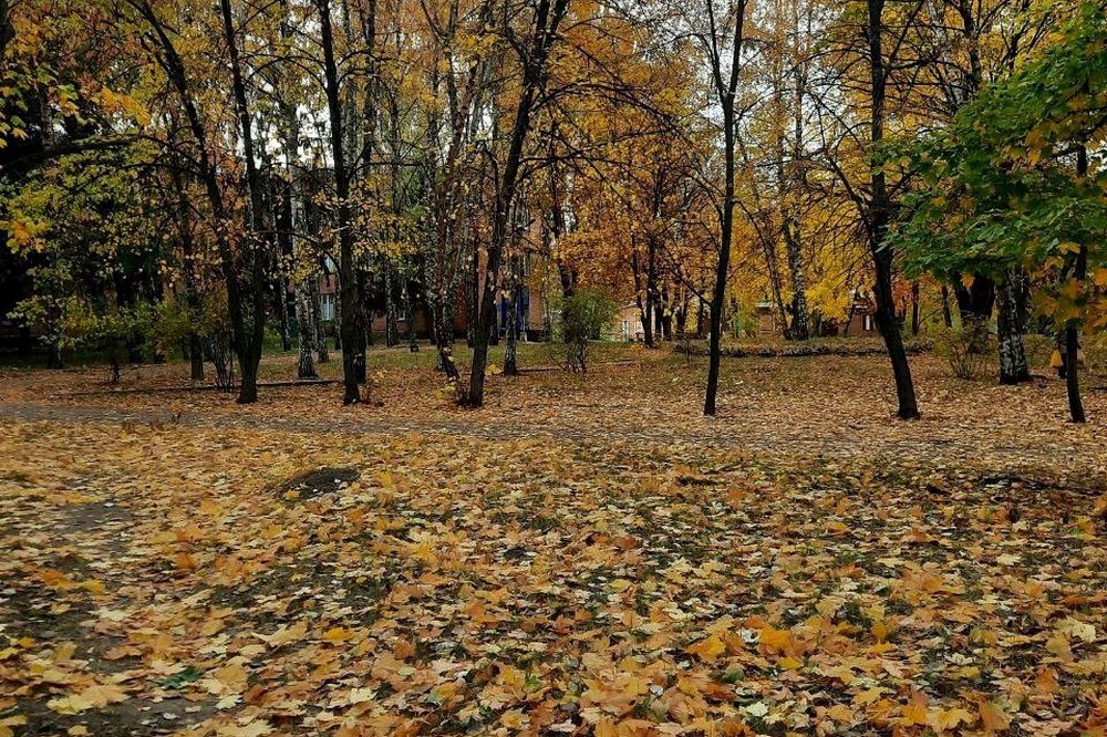 Очікується дощ: погода у Нікополі 28 жовтня 1 Погода у Нікополі