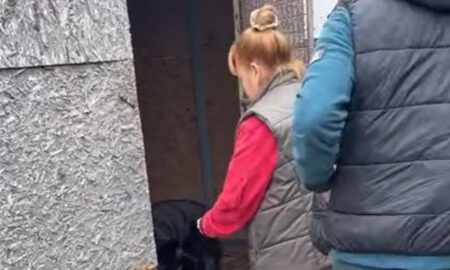 «Олена Вошун з Нікополя, ти мій герой!»: відома волонтерка і знаменитий польський репортер побували у нікопольському притулку для тварин (відео)