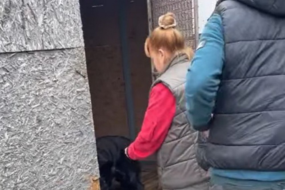 «Олена Вошун з Нікополя, ти мій герой!»: відома волонтерка і знаменитий польський репортер побували у нікопольському притулку для тварин (відео)