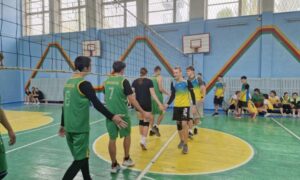 У Покрові відбувся волейбольний турнір