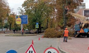 Прибрали дерева, які не раз ставали причиною ДТП у Нікополі: які ще роботи виконують комунальники на цьому тижні