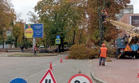 Прибрали дерева, які не раз ставали причиною ДТП у Нікополі: які ще роботи виконують комунальники на цьому тижні
