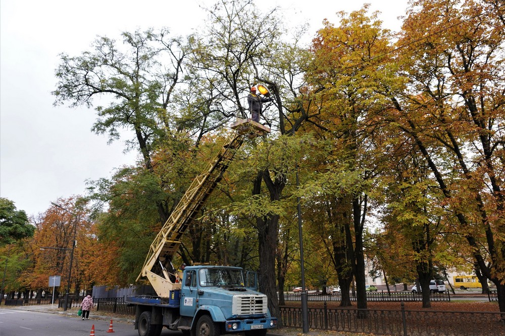 дерева
