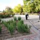 У Нікополі демонтують системи поливу, встановлюють знаки, прибирають листя і усувають наслідки обстрілів (фото)