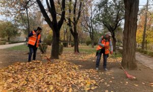 комунальники Покрова 4