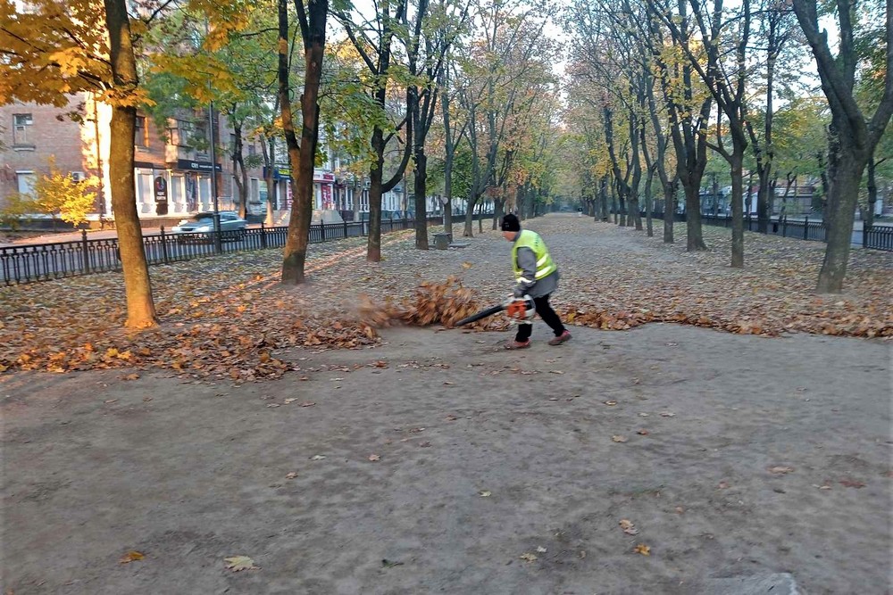 листя 1