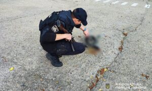 Понад 30 разів ворог обстріляв Нікополь і район, бив по Синельниківщині: поліція розповіла про наслідки