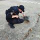 Понад 30 разів ворог обстріляв Нікополь і район, бив по Синельниківщині: поліція розповіла про наслідки