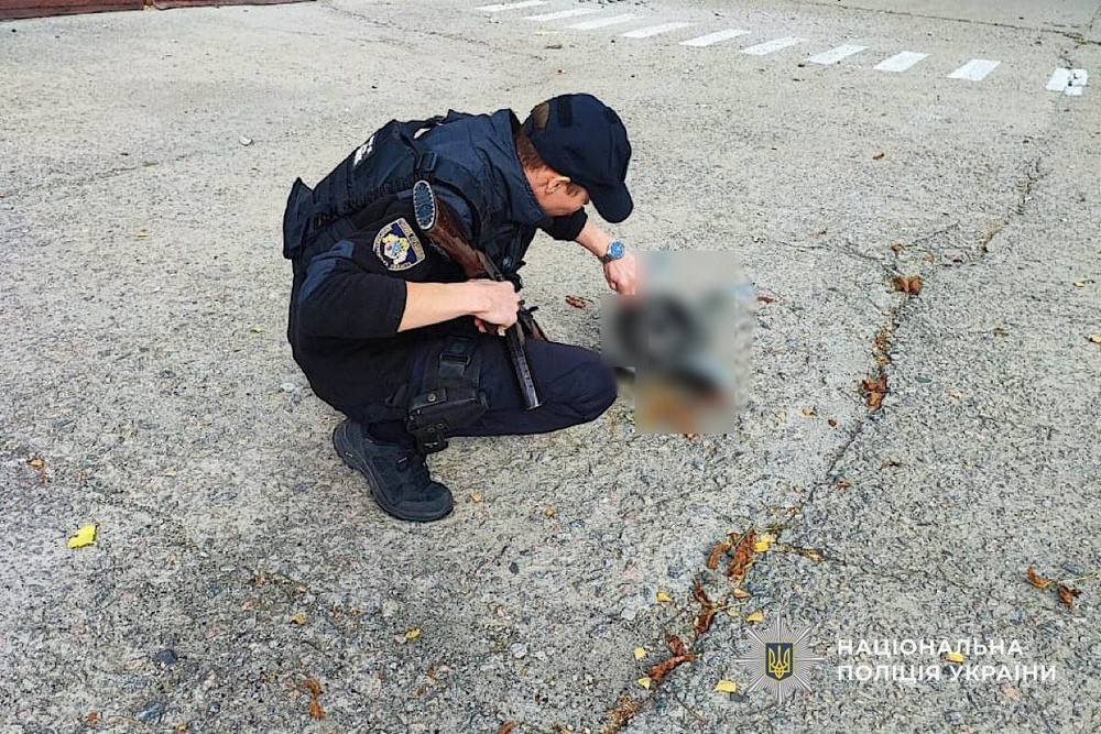 Понад 30 разів ворог обстріляв Нікополь і район, бив по Синельниківщині: поліція розповіла про наслідки