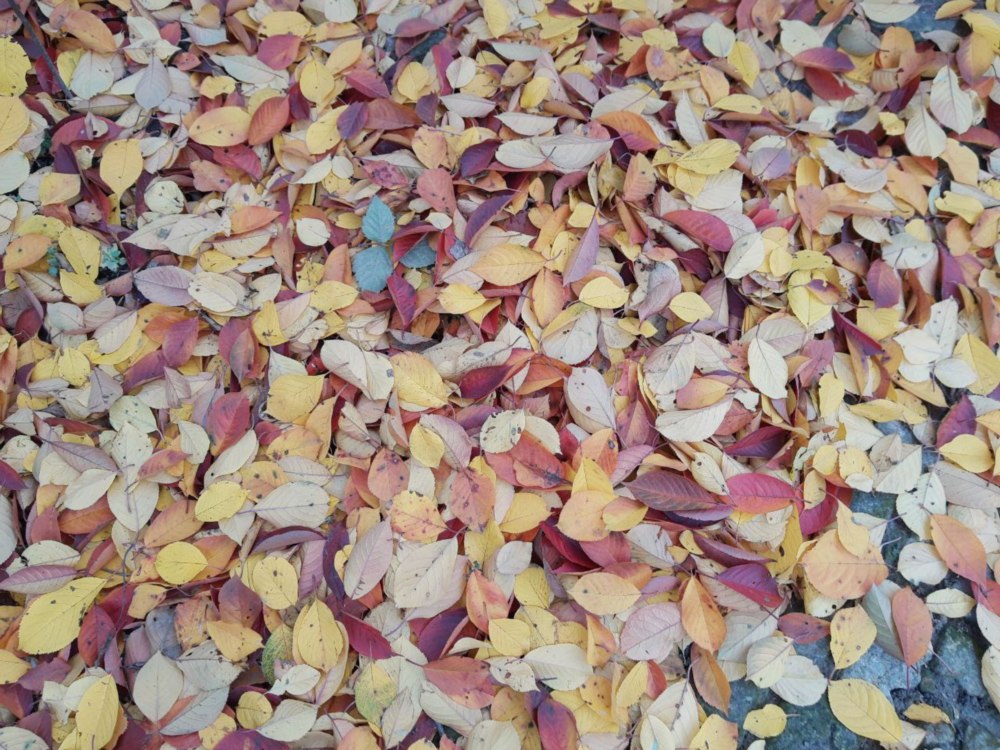 photo 2025 10 10 23 04 46