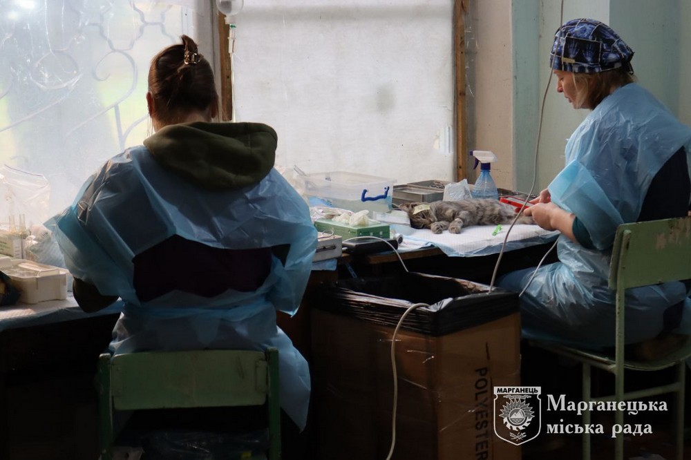 photo 2025 10 17 13 06 25 (4)