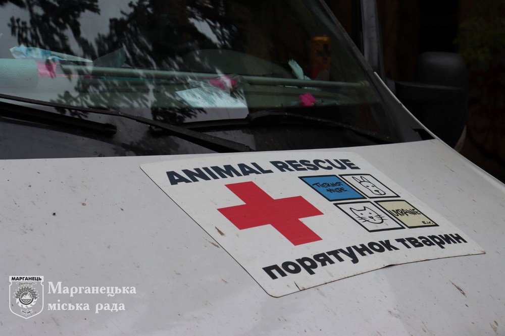 photo 2025 10 17 13 06 25