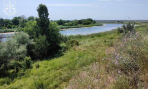 У Покрова відсудили унікальний природний комплекс, що є частиною Смарагдової мережі Європи