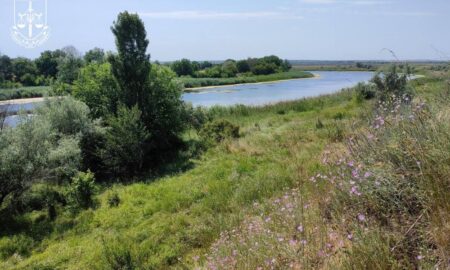 У Покрова відсудили унікальний природний комплекс, що є частиною Смарагдової мережі Європи 49 У Покрова відсудили унікальний природний комплекс, що є частиною Смарагдової мережі Європи