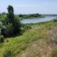 У Покрова відсудили унікальний природний комплекс, що є частиною Смарагдової мережі Європи