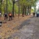 Прибирали листя, висаджували сакури та обрізали гілля: чим займалися комунальники Марганця з 20 по 26 жовтня 3 Комунальники Марганця