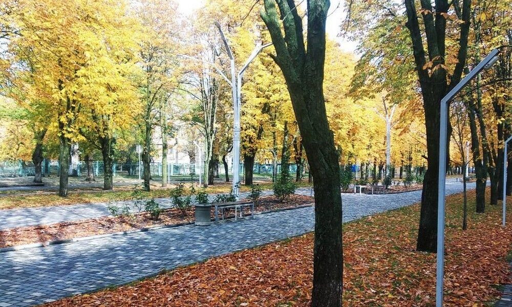 Прохолодно і мінлива хмарність: погода у Нікополі 30 жовтня