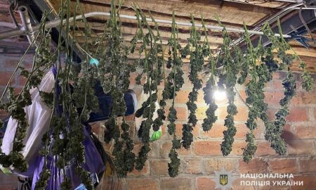 У Нікополі 33-річний чоловік незаконно зберігав канабіс (фото)
