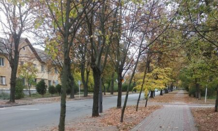 погода у Нікополі 12 жовтня