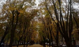 погода у Нікополі 24 жовтня