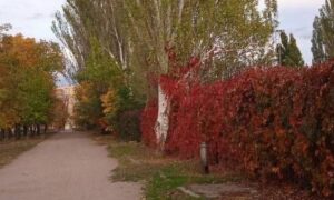 Ввечері можливий дощ: якою буде погода у Нікополі 26 жовтня 2 погода у Нікополі 26 жовтня