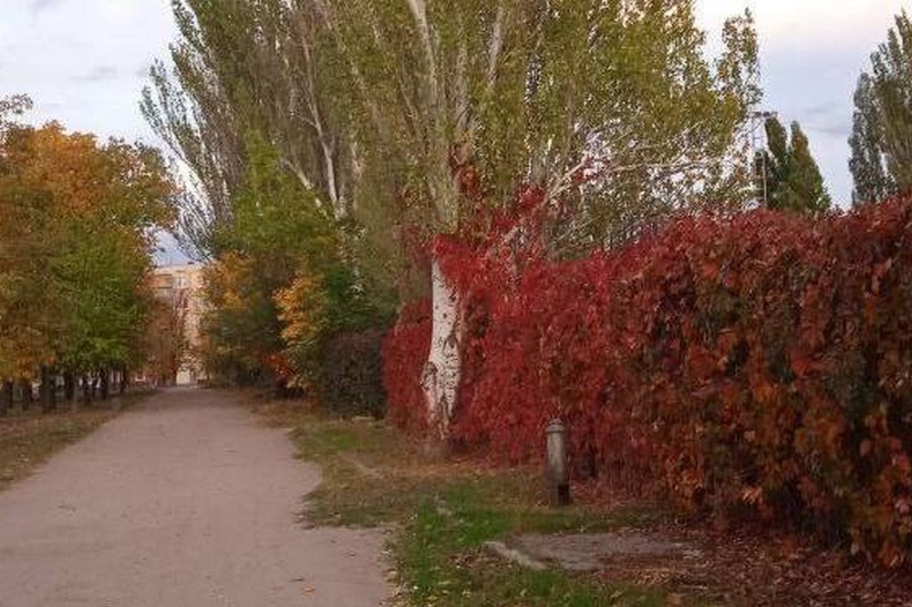 погода у Нікополі 26 жовтня