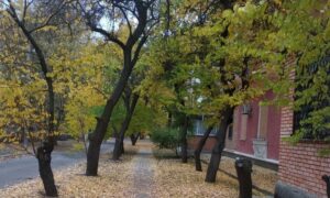 Попередили про небезпечні метеорологічні явища: якою буде погода у Нікополі 27 жовтня 2 погода у Нікополі 27 жовтня 2
