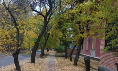 Попередили про небезпечні метеорологічні явища: якою буде погода у Нікополі 27 жовтня 33 погода у Нікополі 27 жовтня 2