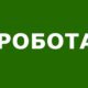 Робота у Нікополі: вакансії з можливістю бронювання і окладом 16 000 грн