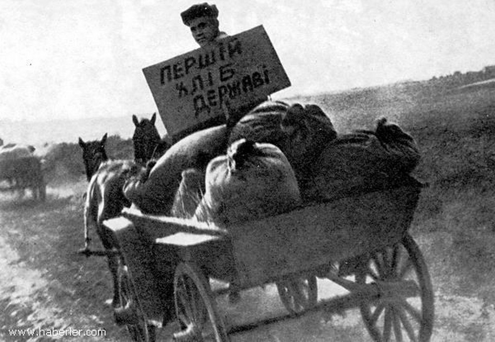 Попід дворами ходили сироти, а батько-вдівець благав не забирати гарбузи… Голодомор на Нікопольщині – як це було Попід дворами ходили сироти, а батько-вдівець благав не забирати гарбузи… Голодомор на Нікопольщині – як це було