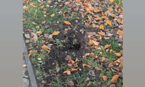 В центрі Нікополя