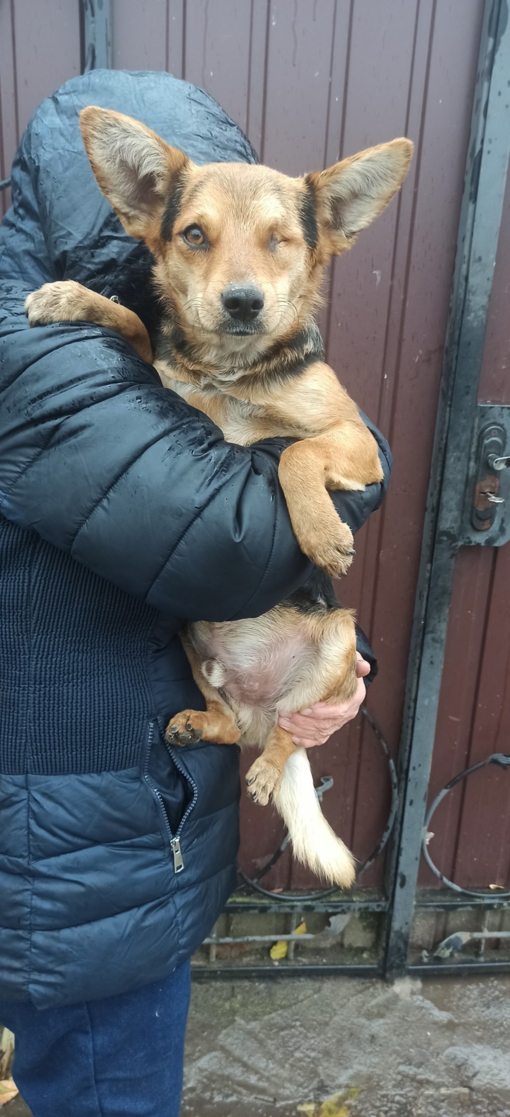 572127179 3730240010443912 5750014899691211307 n 572127179 3730240010443912 5750014899691211307 n