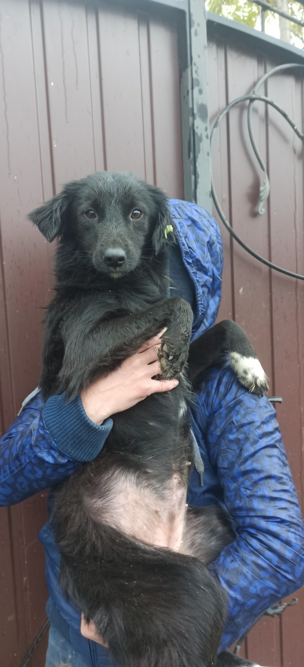 572792052 3730240267110553 8734584972884088765 n 572792052 3730240267110553 8734584972884088765 n