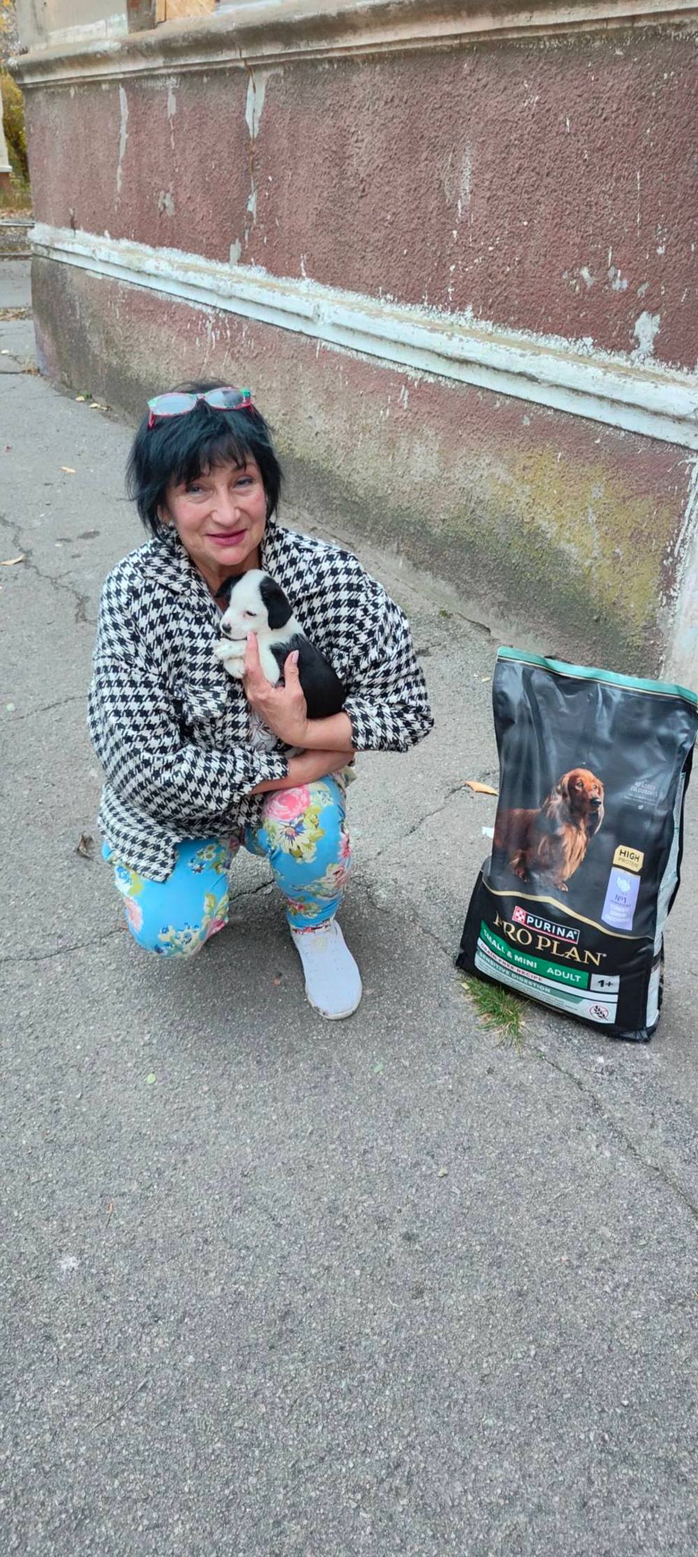 573840609 1131082429225350 3265608902677919441 n