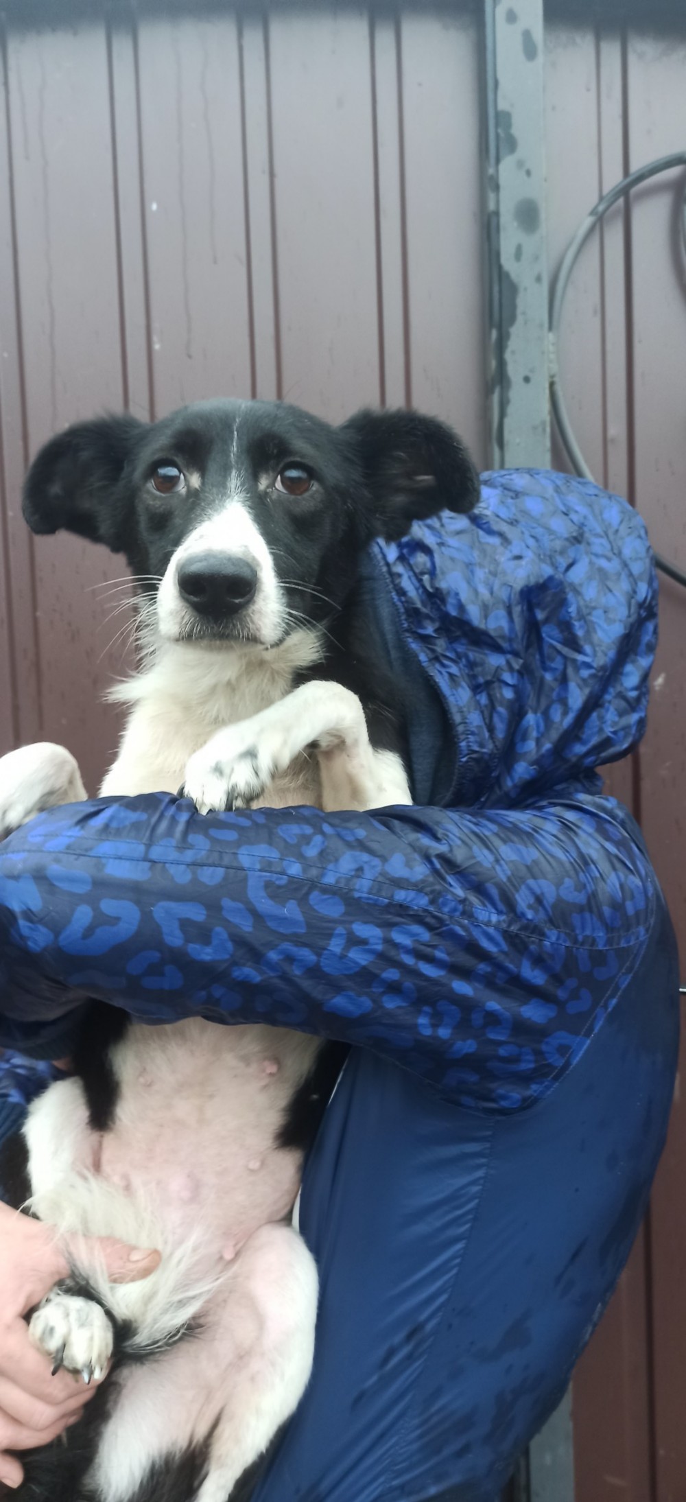 574253833 3730240133777233 8012968027249651626 n 574253833 3730240133777233 8012968027249651626 n