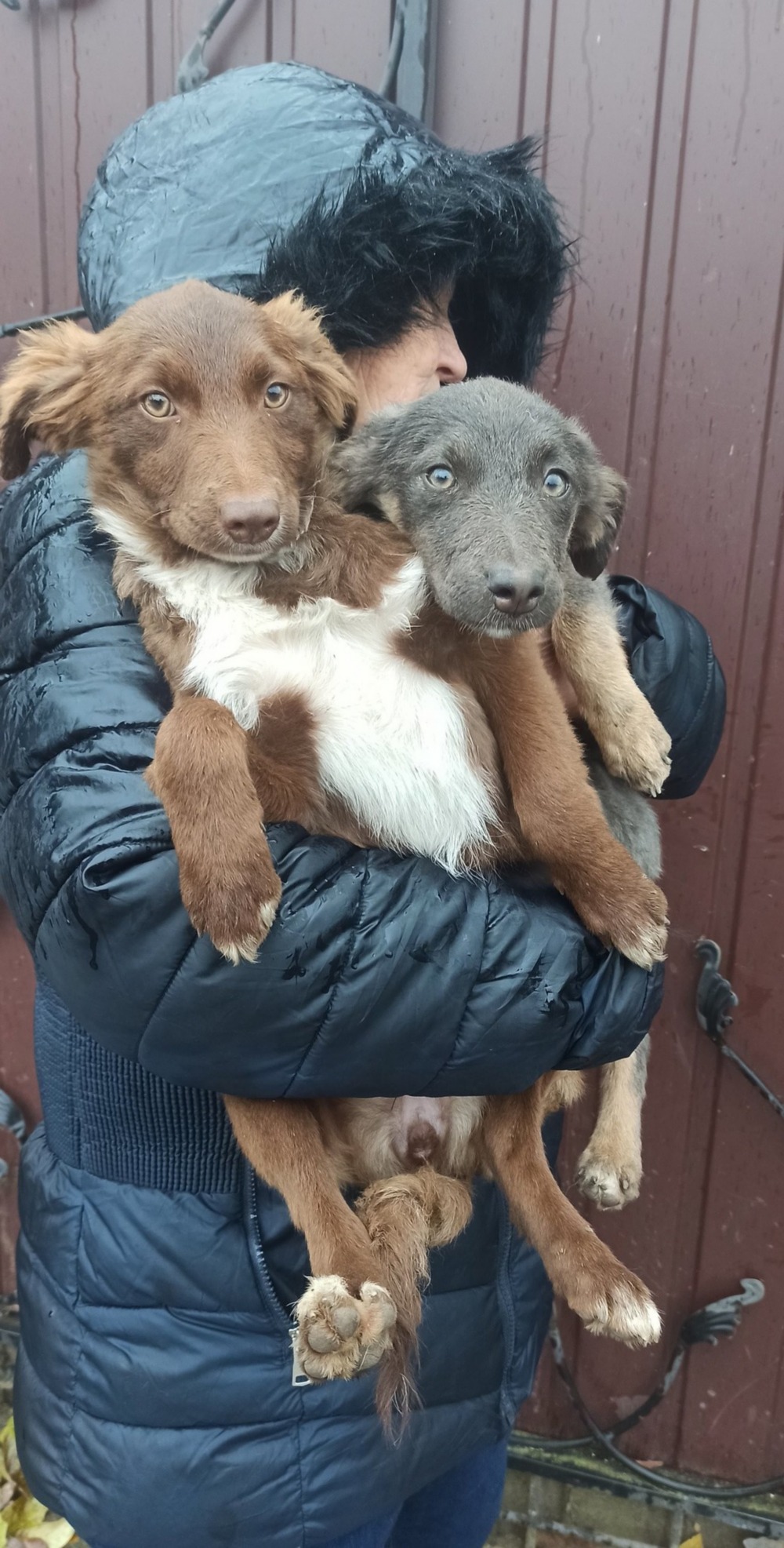 574556750 3730240110443902 2467746252519118843 n 574556750 3730240110443902 2467746252519118843 n