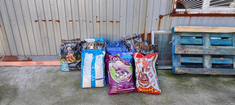 Нікополь сьогодні відвідав відомий американський гітарист: разом з командою привезли подарунки для тварин (фото)