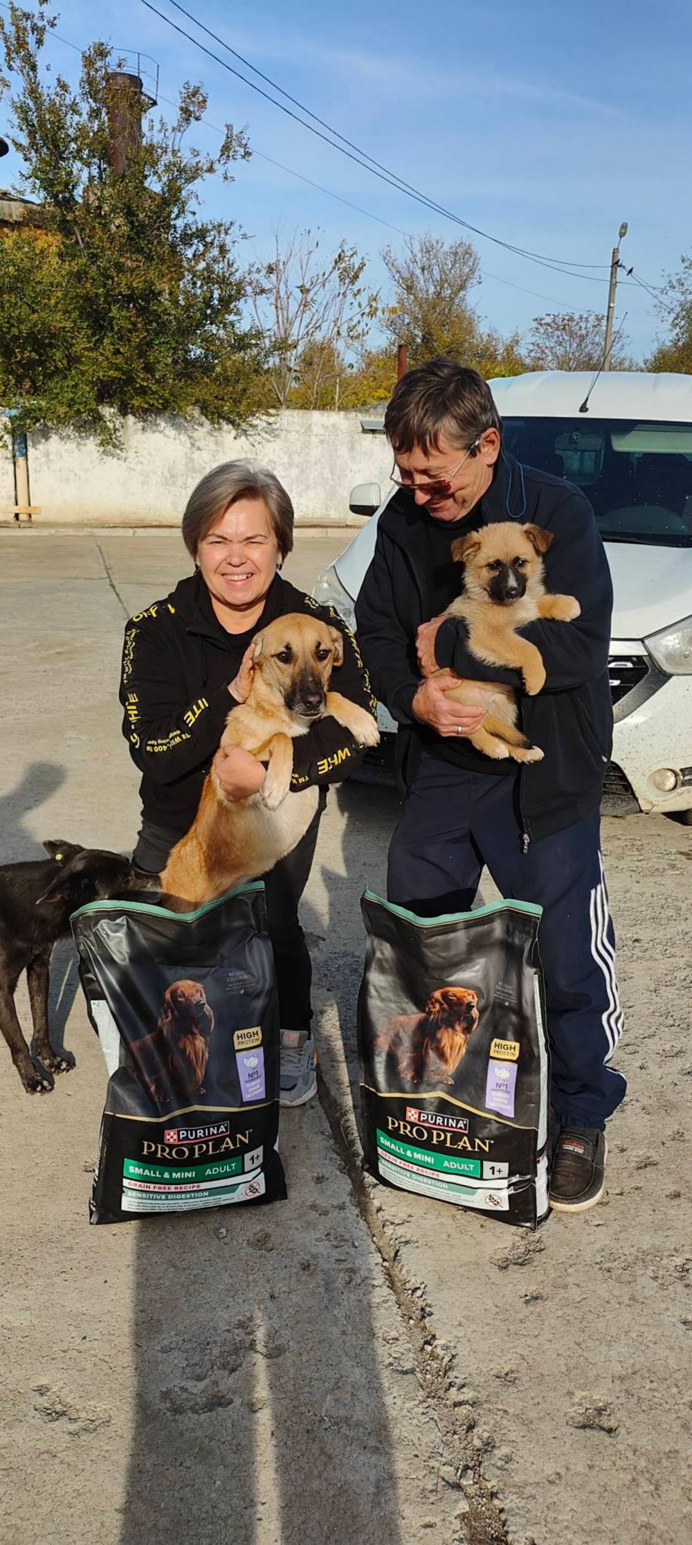 574572406 1131082515892008 9025435184667595220 n