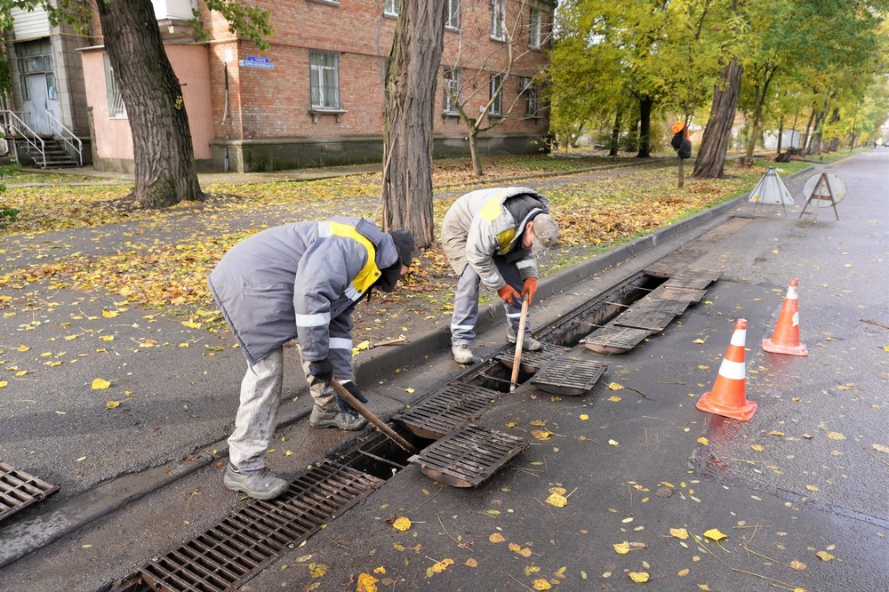 574572996 1121239460206464 4013131835514650707 n