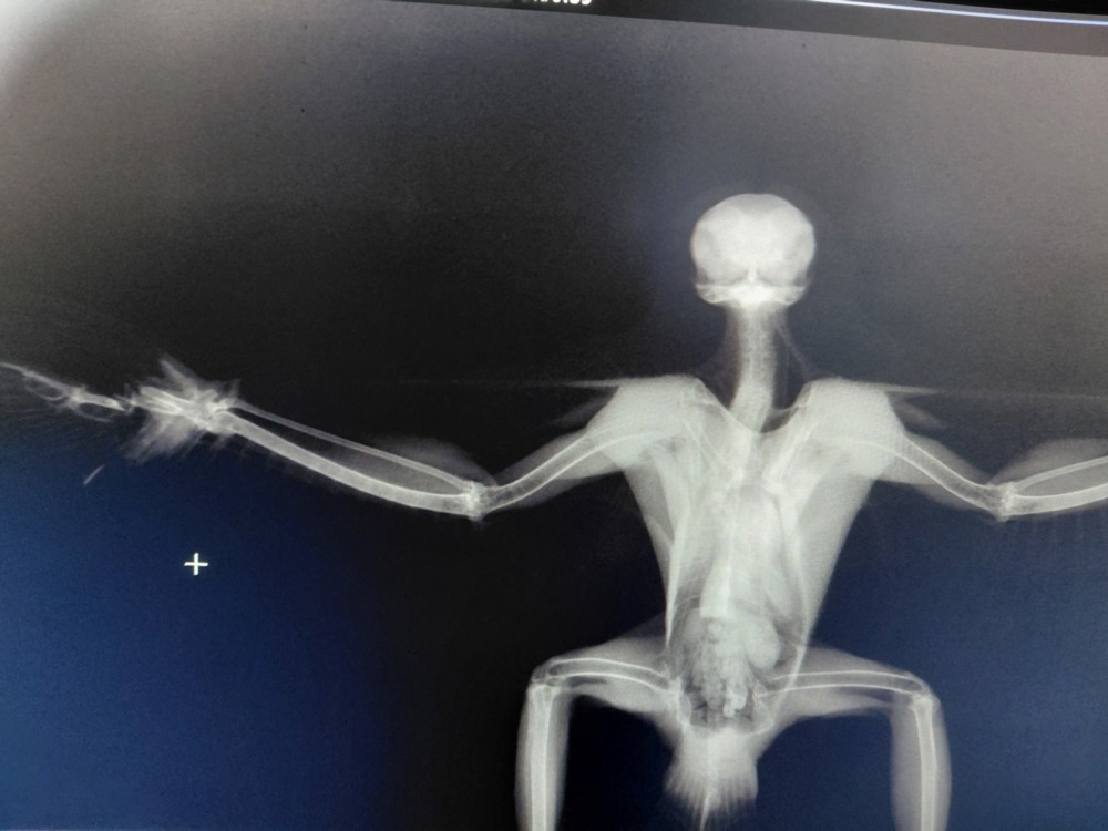 576215827 1260095289488997 8677922069502804486 n 576215827 1260095289488997 8677922069502804486 n