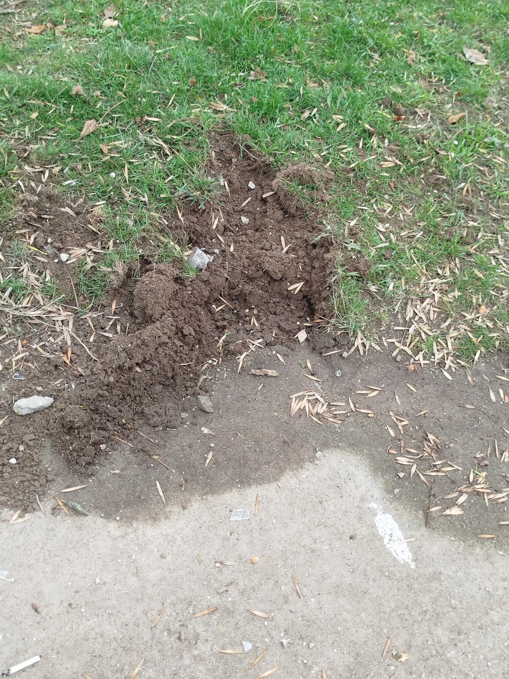 582713459 122224779956146169 821698197012271939 n У мережі показали, як виглядає понівечена ворогом школа у Нікополі (фото)