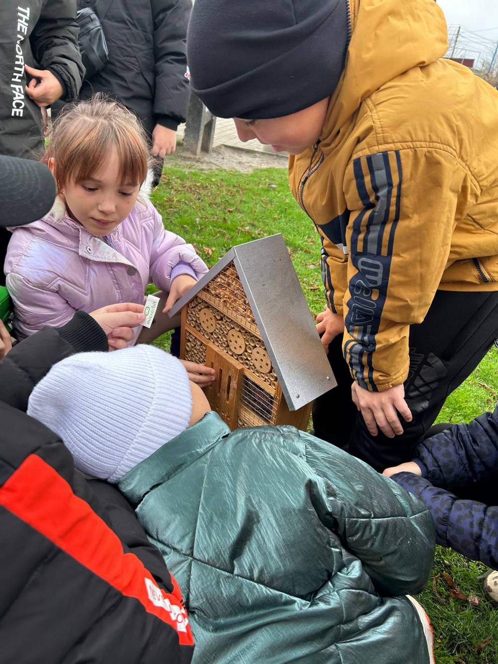 На Нікопольщині сьогодні у «живій школі» діти годували пташок під час уроку просто неба у «живій школі» (фото)