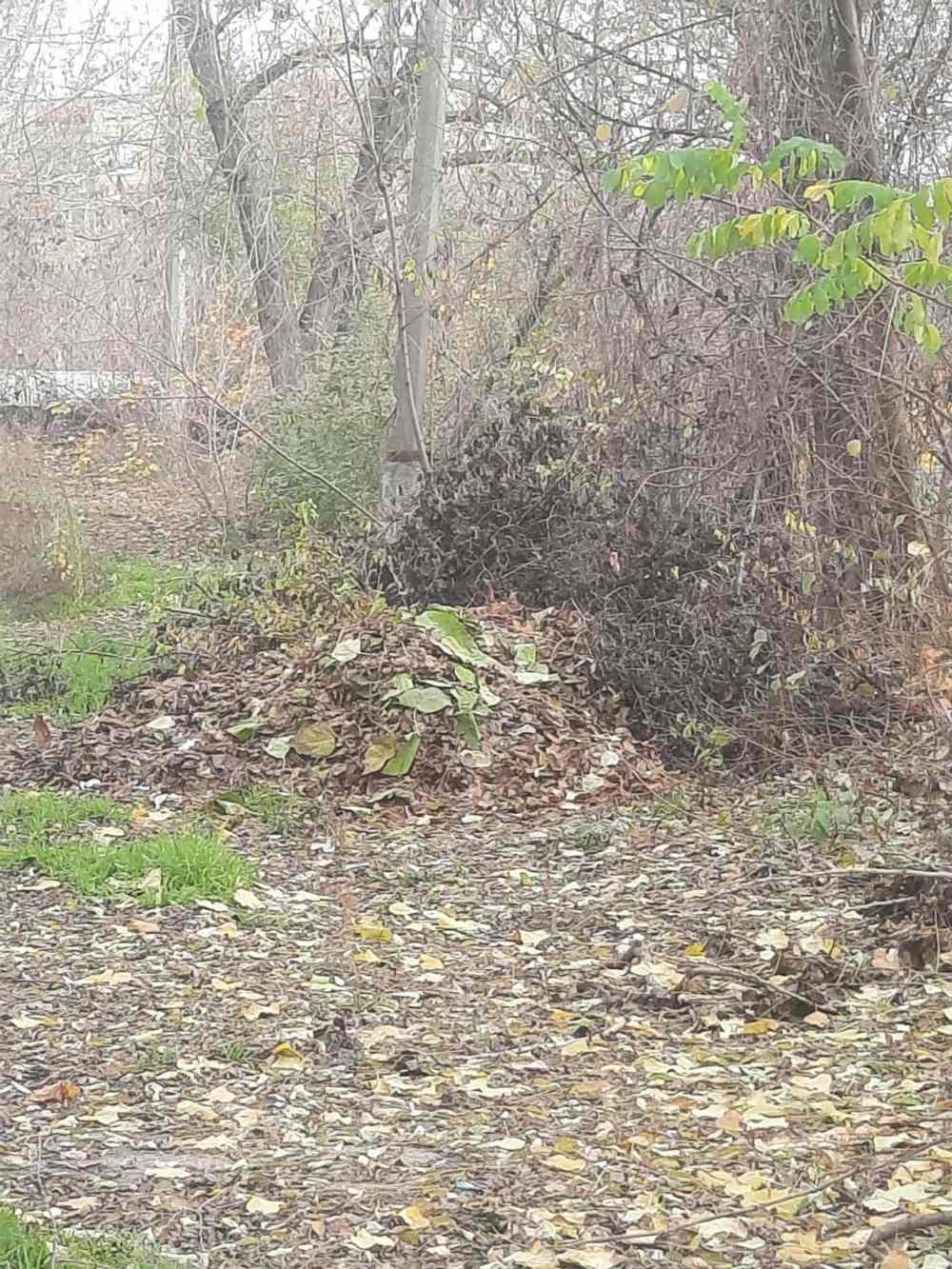 Конфлікт між ОСББ Нікополя 5